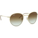Ray-Ban Round Reverse RBR0103S 001/CB