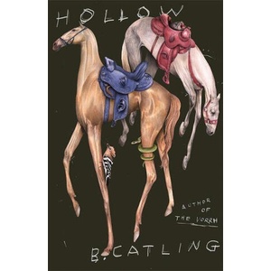 Hollow (ISBN: 9781529366464)