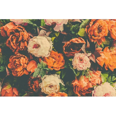 DIMEX ART Флизелинов фототапет винтидж фон 375 x 250 см