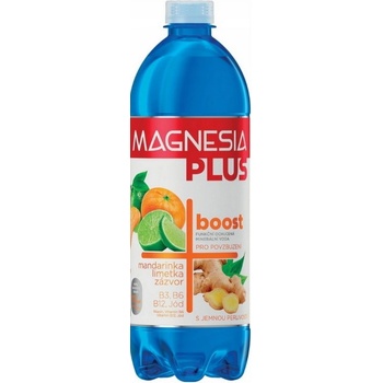 Magnesia Plus Boost 0,7 l