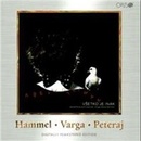 Hammel, Pavol / Varga, Marián / Peteraj, Kamil: Všetko je inak