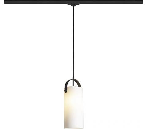 RENDL R13856