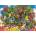 EUROGRAPHICS - Puzzle Bird House Hotel - 1 000 piese