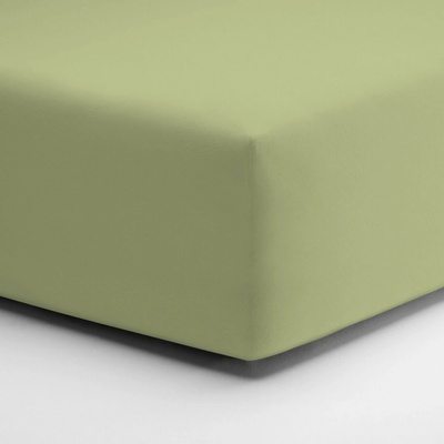 Schlafgut Prostěradlo ZWIRNjersey Lind elastan 180x200-200x220x30