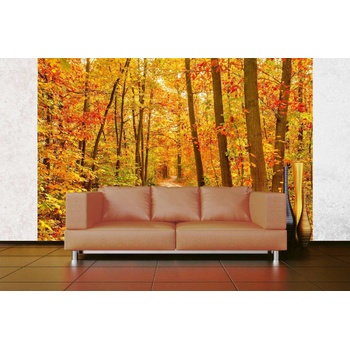 DIMEX ART s. r. o Самозалепваща се флизелинова фототапета пътека в есенната гора 375 x 250 см