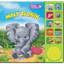 Malý sloník