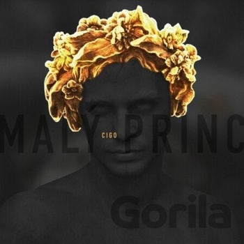 CIGO - MALY PRINC CD