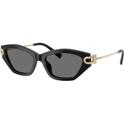 Tiffany & Co Tiffany & Co. TF4231U 800181 (TF4231U 800181)
