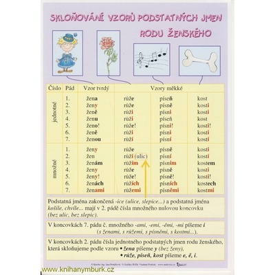 Skloňování vzorů podstatných jmen rodu ženského/