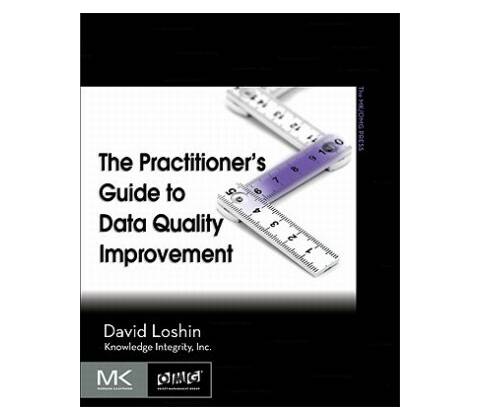 Practitioner's Guide to Data Quality Improvement