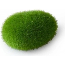 Europet Bernina Aqua Della Moss Ball 6x4,5x3,5 cm small