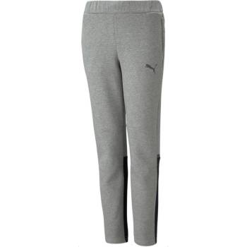 PUMA Панталони Puma teamCUP Casuals Pants Junior 658426-013 Размер 128