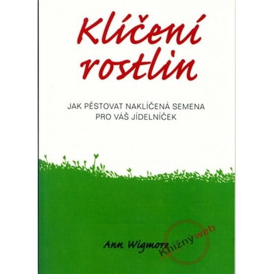 Úsvit jazyka starých Naguálů - Merilyn Tunneshendeová