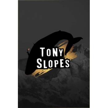 SEEDTECH Studios Tony Slopes (PC)