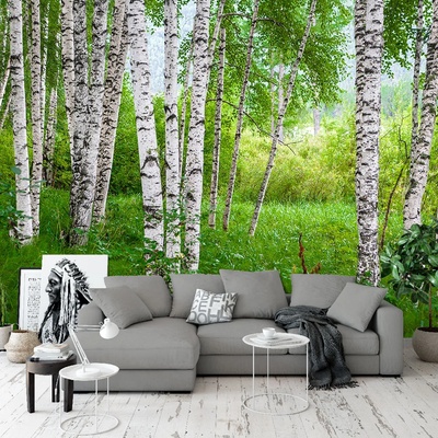 Art Gift Decor Фототапет Брезова гора 3