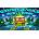Christmas Mission