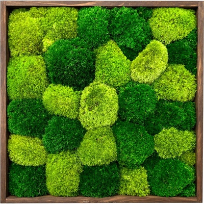 Machový obraz TMH - kopčeky Veľkosť rámu: 40x40cm