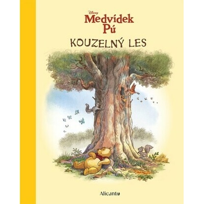 Medvídek Pú - Kouzelný les