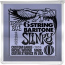 Ernie Ball 2839
