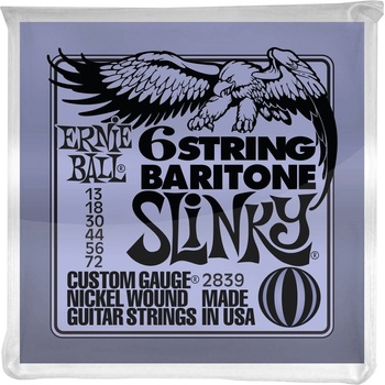 Ernie Ball 2839