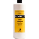 Layrite Daily Shampoo šampón pre každodenné použitie 946 ml