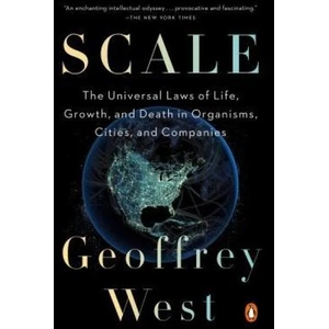 Scale (ISBN: 9780143110903)