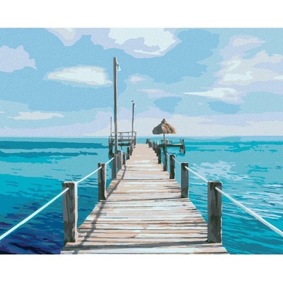 Diamondi Diamantové maľovanie MOLO A MORE TED DAVIS 40 x 50 cm bez rámu a bez vypnutia plátna