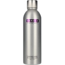 Danzka Currant 40% 1 l (holá láhev)
