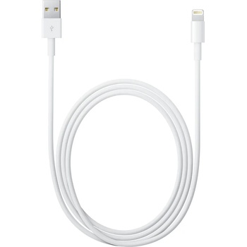 Image 1 of Apple Lightning to USB Cable (1 m)