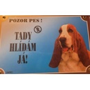 Dafiko Tabulka Baset Hound