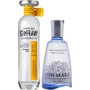 GinRaw Gastronomic Gin 42,3% 0,7 l (čistá fľaša)
