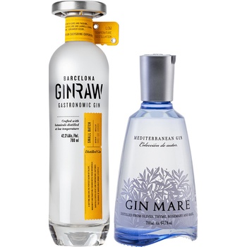 GinRaw Gastronomic Gin 42,3% 0,7 l (čistá fľaša)