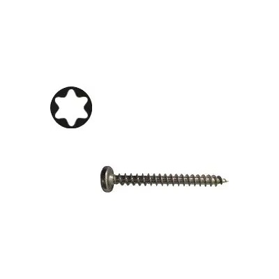 Uni Vrut 4x20 PH nerez A2 Torx