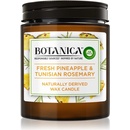 Botanica by Air Wick Fresh Pineapple & Tunisian Rosemary 205 g