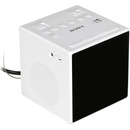 Sony ICF-C1T