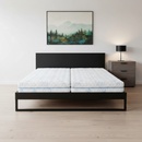 DreamBed LACTIVE
