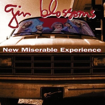 Image 1 of Gin Blossoms - New Miserable Experience (LP) (602557293593)
