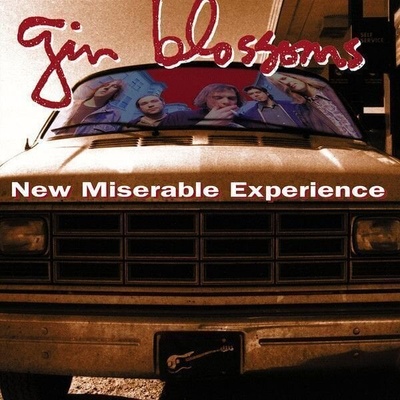 Gin Blossoms - New Miserable Experience (LP) (602557293593)
