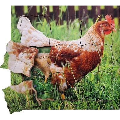 Just Jigsaws 640 Slepice a její životní cyklus dřevěné vrstvené 19 dílů