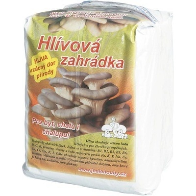 Hlívová zahrádka (ústřičná) 6 kg Jedlehouby