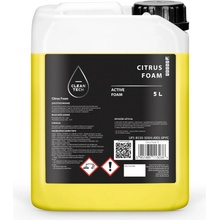 CleanTech Inside Cleaner 5 l