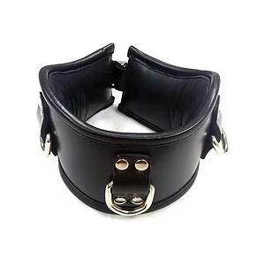 Rouge Leather Padded Posture Collar With 3 D-Rings Black