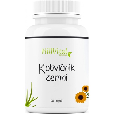 HillVital Kotvičník zemní 60 kapslí