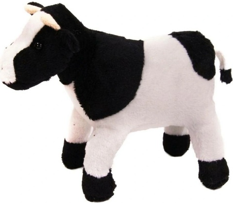 Kráva