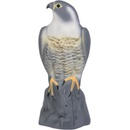 Bradas Plašič vtákov 17/17 5/41cm Sokol CTRL-BR103