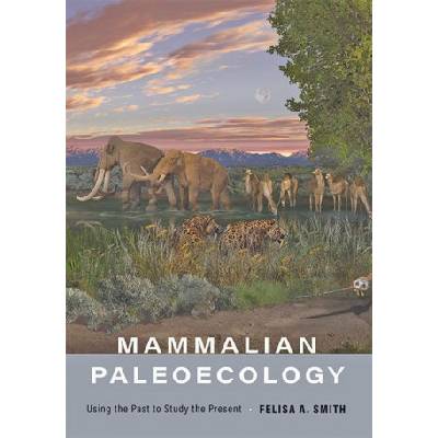 Mammalian Paleoecology | Felisa A. Smith