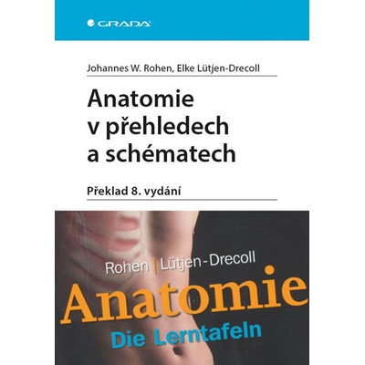 Anatomie v přehledech a schématech - Překlad 8. vydání - Lüt...