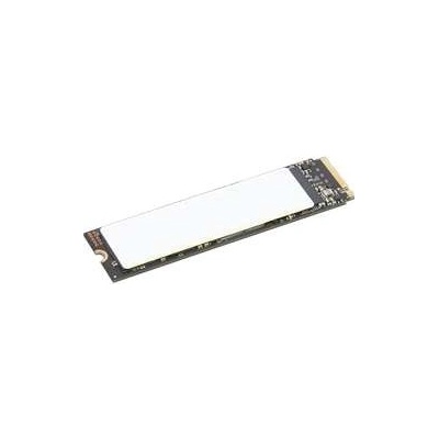 Lenovo ThinkPad Performance 1TB, 4XB1N36075