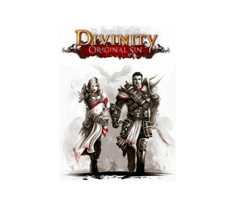Divinity: Original Sin (Enhanced Edition)