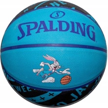 Spalding Space Jam Tune Squad Roster